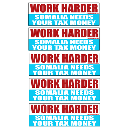 Work Harder Somalia Needs Your Tax Money Hard Hat (5 Pack)