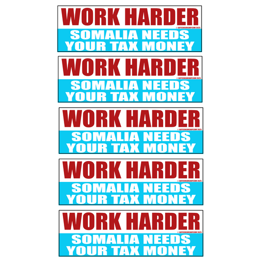 Work Harder Somalia Needs Your Tax Money Hard Hat (5 Pack)