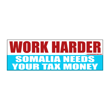 Work Harder Somalia Needs Your Tax Money (3 Pack)